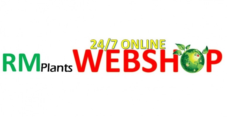 RM 24/7 Online Webshop